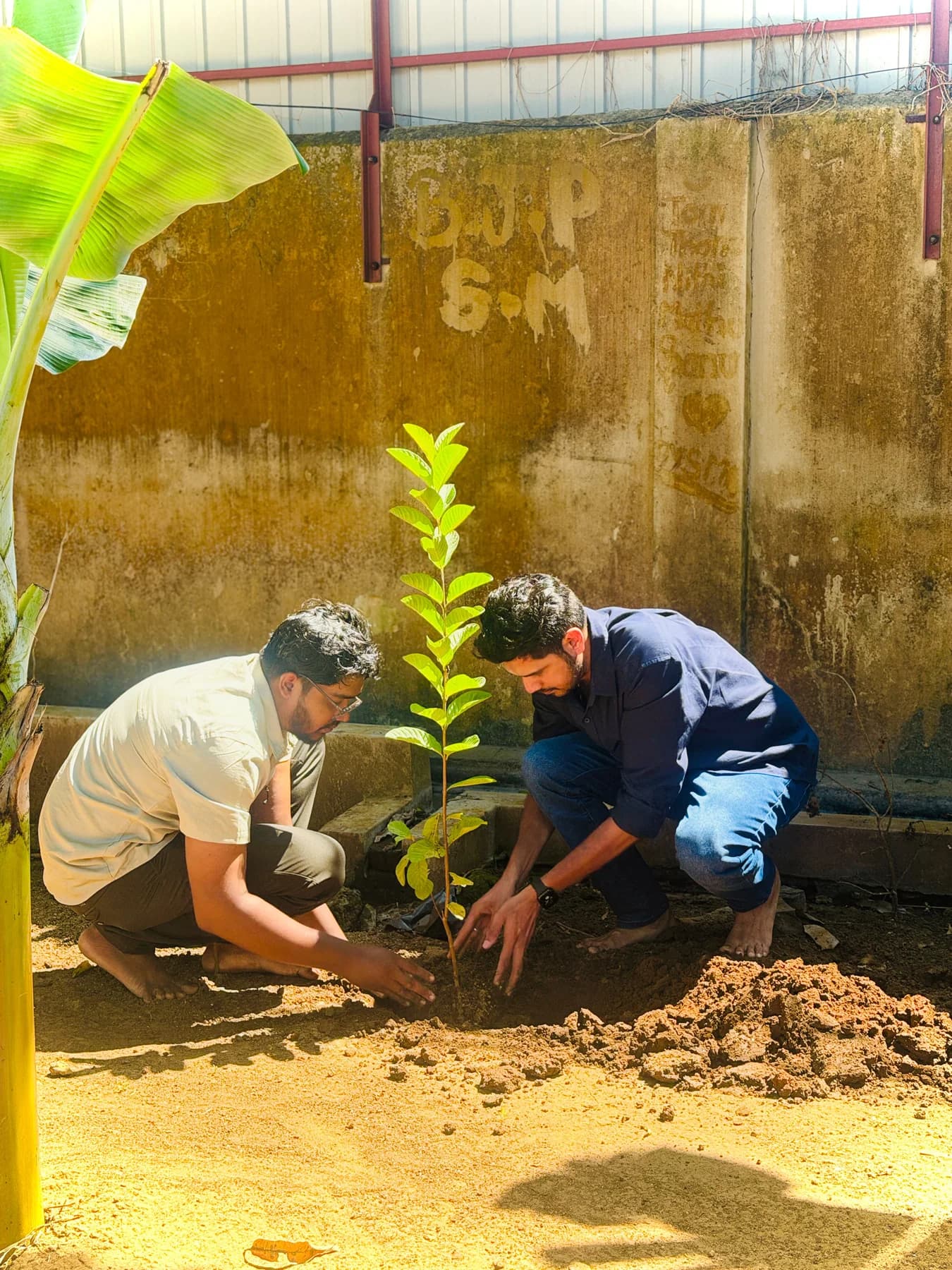 Community planting action